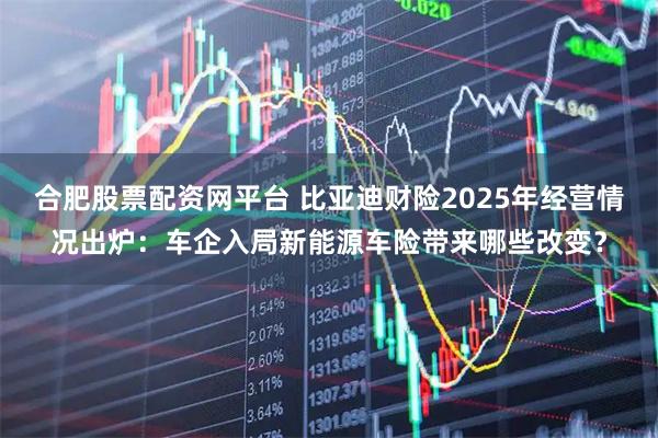合肥股票配资网平台 比亚迪财险2025年经营情况出炉：车企入局新能源车险带来哪些改变？